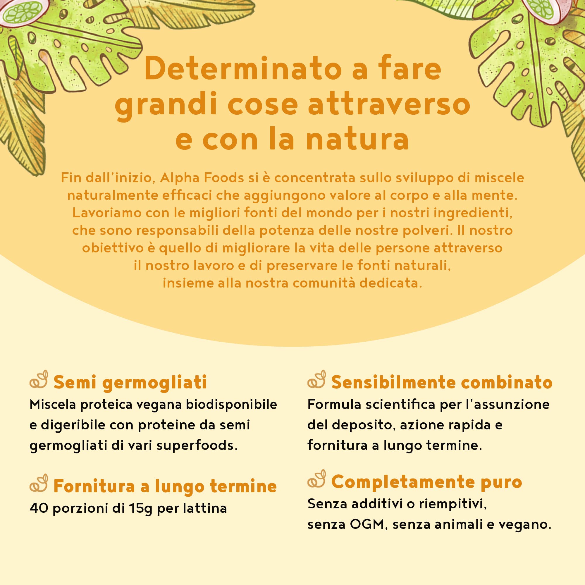 Proteine in Polvere Vegane | Gusto Vaniglia | 22g Proteine | Proteine Vegetali Isolate in Polvere di Pisello, Riso, Girasole e Soia | Massa Muscolare | 1200g Vegan Protein Powder | Alpha Foods