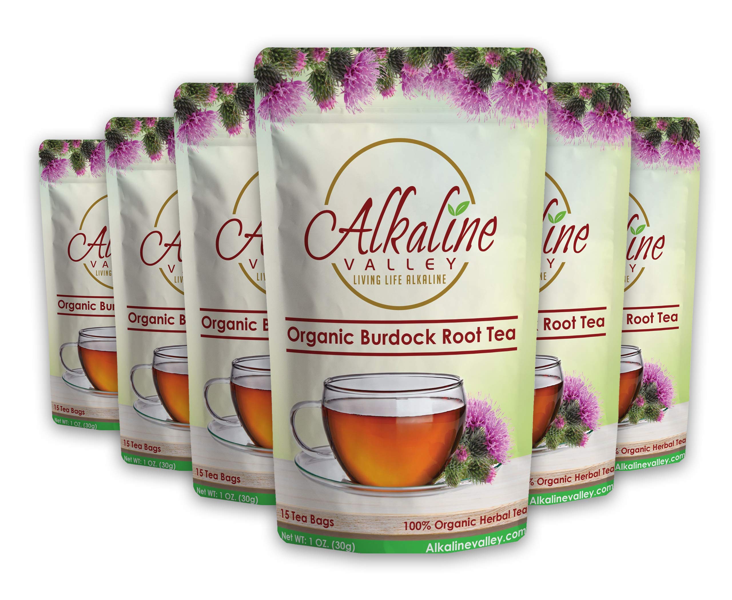 Burdock Root Tea Organic - 90 Unbleached/Chemical-Free Burdock Root Tea Bags - (Pack of 6) - Caffeine-Free, No GMO