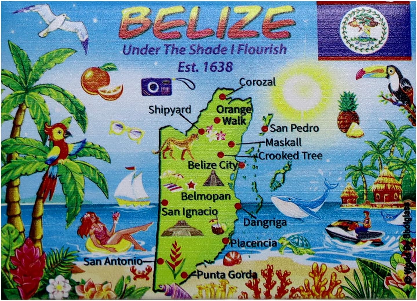 Belize Graphic Map and Attractions Souvenir Fridge Magnet 2.5" X 3.5"