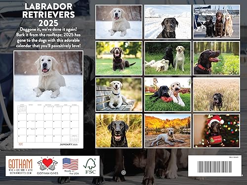 Vista 340 de Calendario Goldendoodle 2026 Golden Doodle mensual de pared calendario de 12 meses Fabricado en Estados Unidos