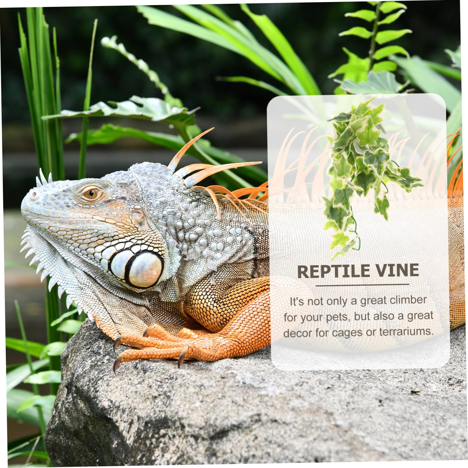 ibasenice 5 Pezzi rattan artificiale pianta Rettili Alto impostore arredamento di terrario rettile piccolo acquario piante acquatiche finte arredamento del terrario del deserto plastica