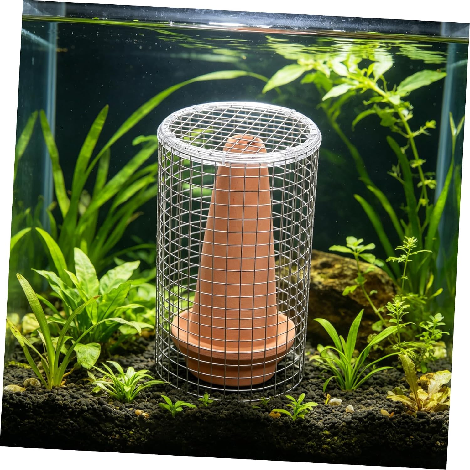 Breeding Tank for Fish and Aquatic Pets Spawning Container with Ventilation Suitable for Guppy and Betta Fish Breeding