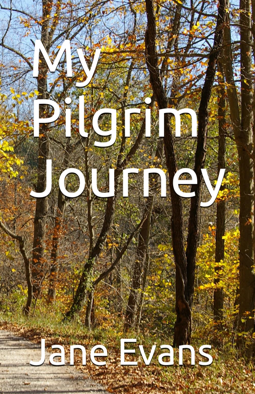 My Pilgrim Journey