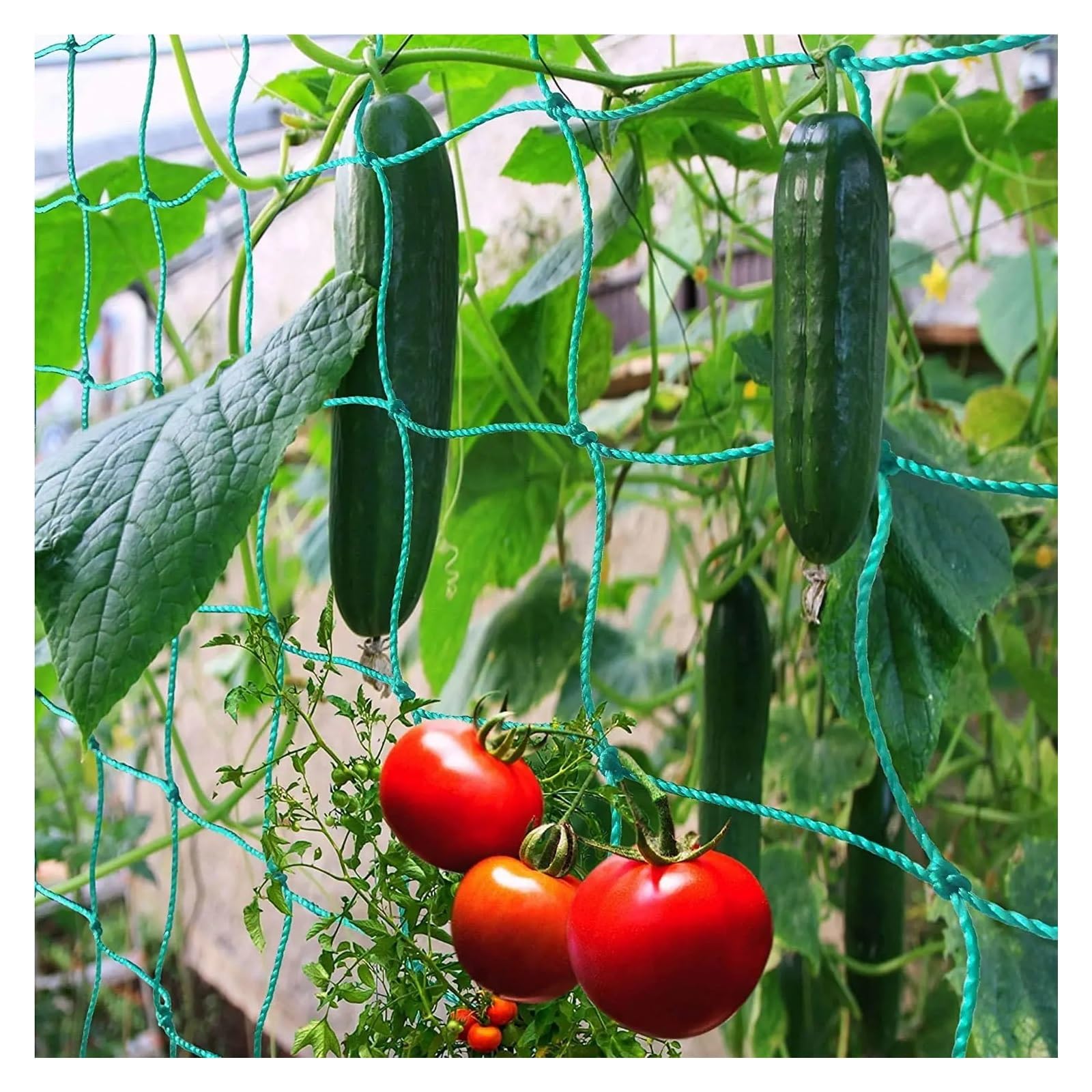 36/24 Strands Of 10x10cm Square Hole Plant Climbing Net Garden Plant Shelves Net Vegetable Flower Net Garden Weaving Grow Frame (Color : 4m x 10m, Size : 36 strands)