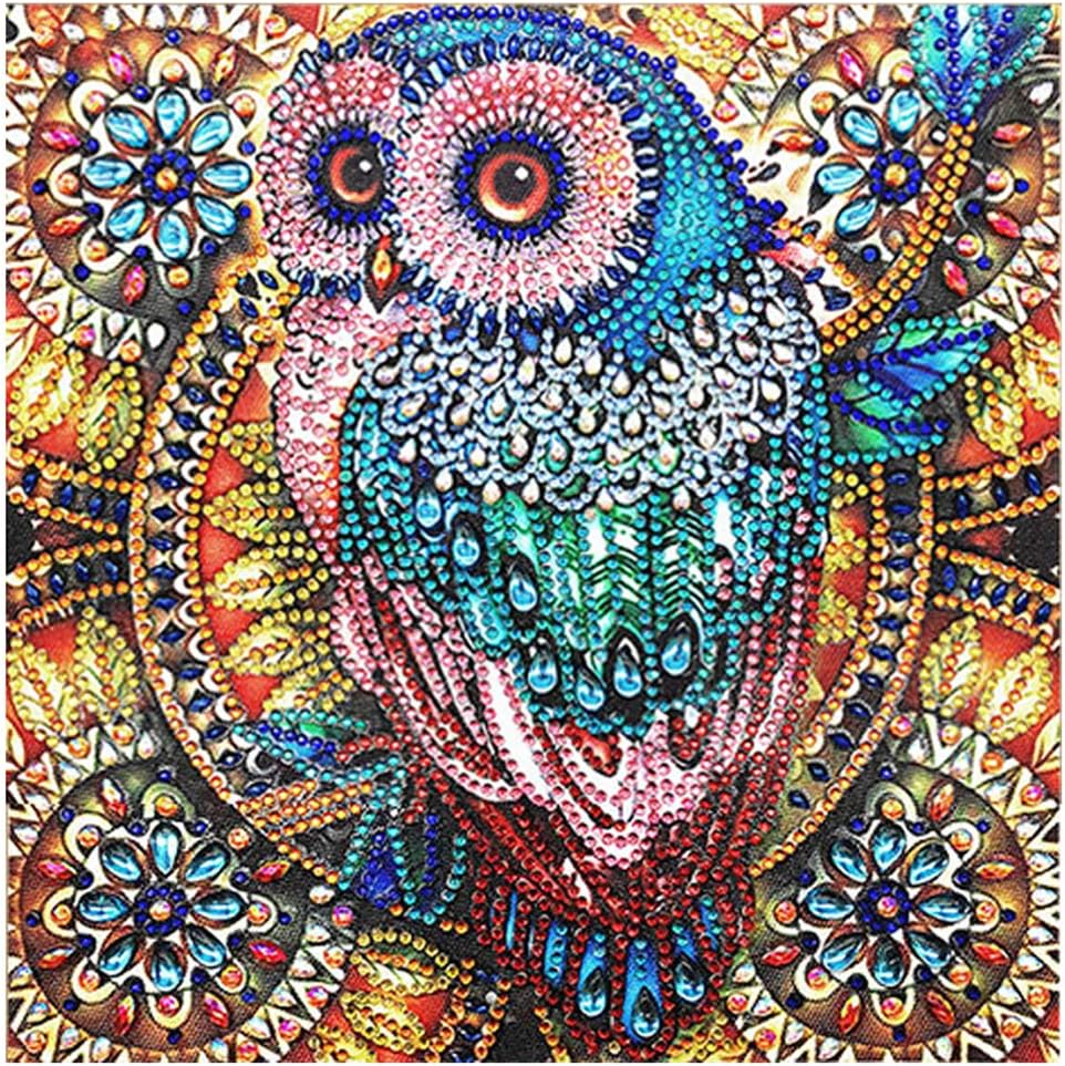 nuoshen 5D Diamond Painting Kits,Diamond Arts Craft Gift Full Drill Crystal Rhinestone Embroidery for Home Wall Decoration,11.8 * 11.8 inch(Owl)