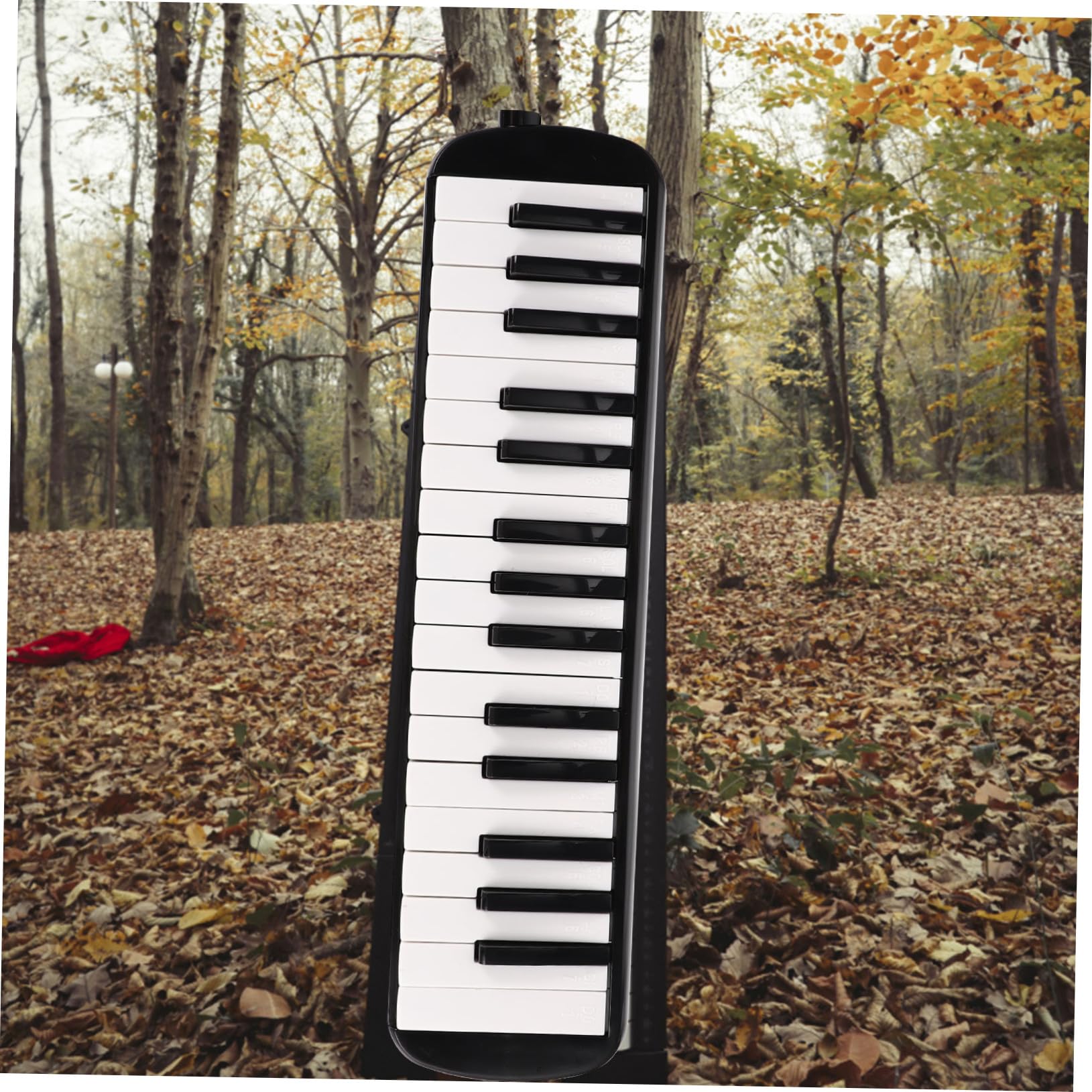 Mélodica à 32 Touches, Instrument de Musique pour Débutants