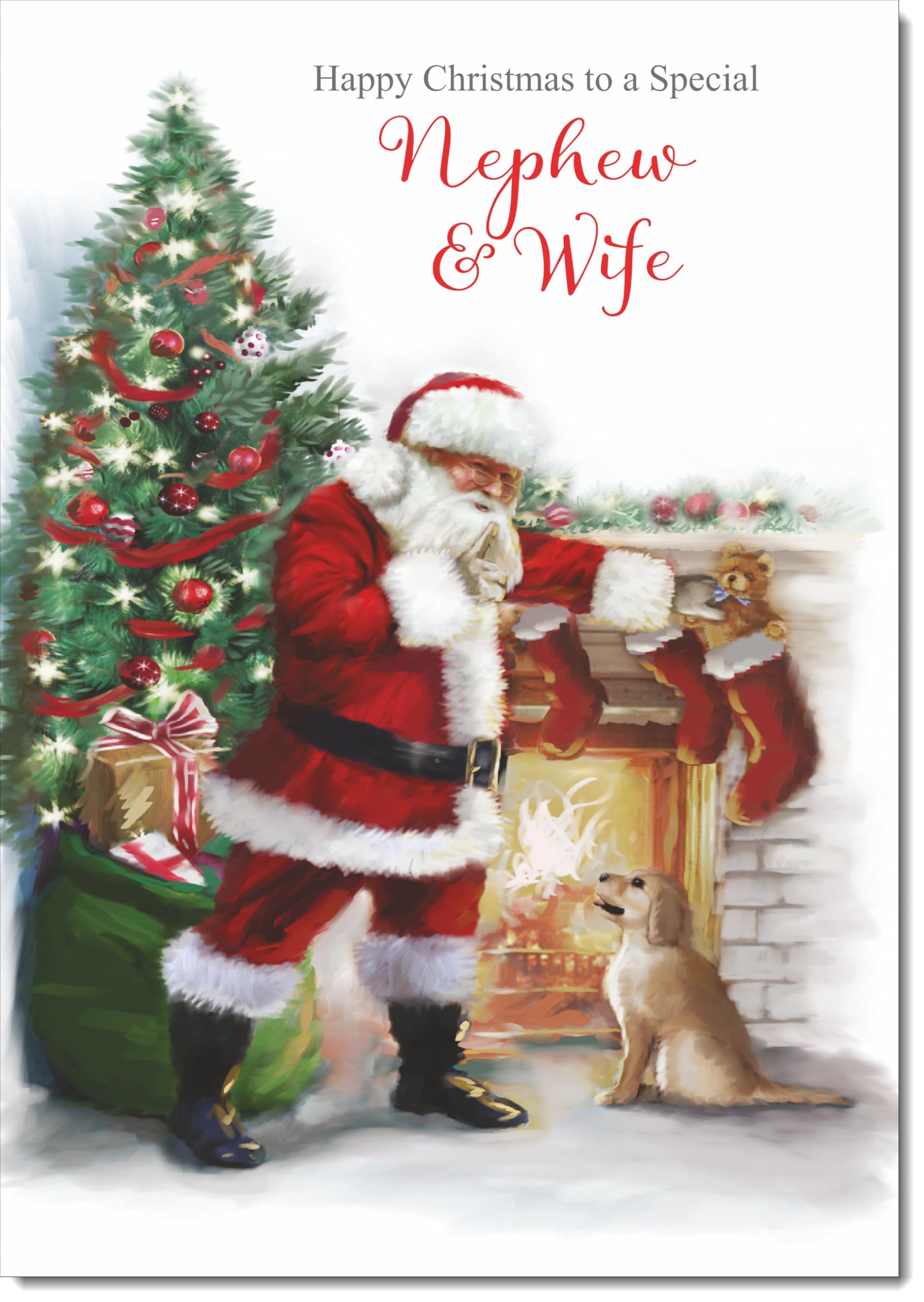 doodlecards Nephew and Wife Christmas Card Santa by Christmas Tree Large A4 Size Christmas Card for Nephew & Wife with Plain Envelope