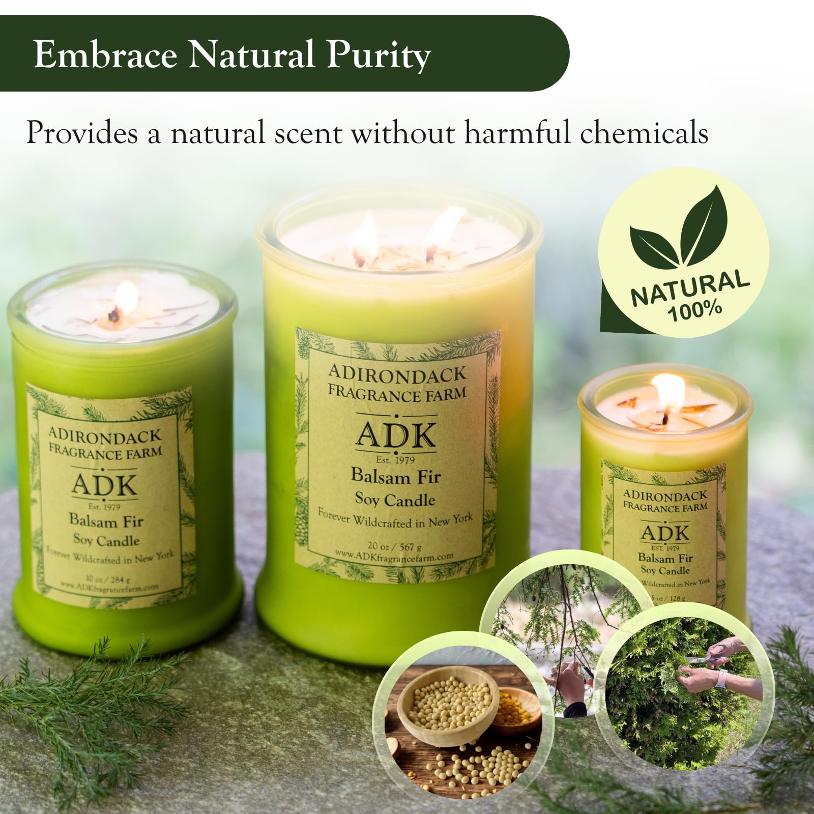 ADK Bougie parfumée baume et sapin – Bougie d'aromathérapie naturelle pour décoration d'intérieur et de cuisine, bougies relaxantes à base de plantes, parfaites pour offrir en cadeau