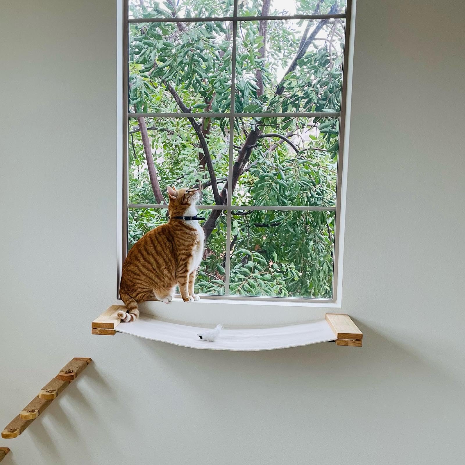 FUKUMARU Katzenhängematte Wand, 91 x 33 cm Katzenbrücke aus natürlichem massivem Gummibaumholz, Katzenbett an der Wand für DIY Cat Highway und Katzenwand für Katzen