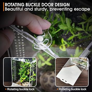 Acrylic jumping spider habitat, insect terrarium, insect enclosure, mantis habitat, frog enclosure