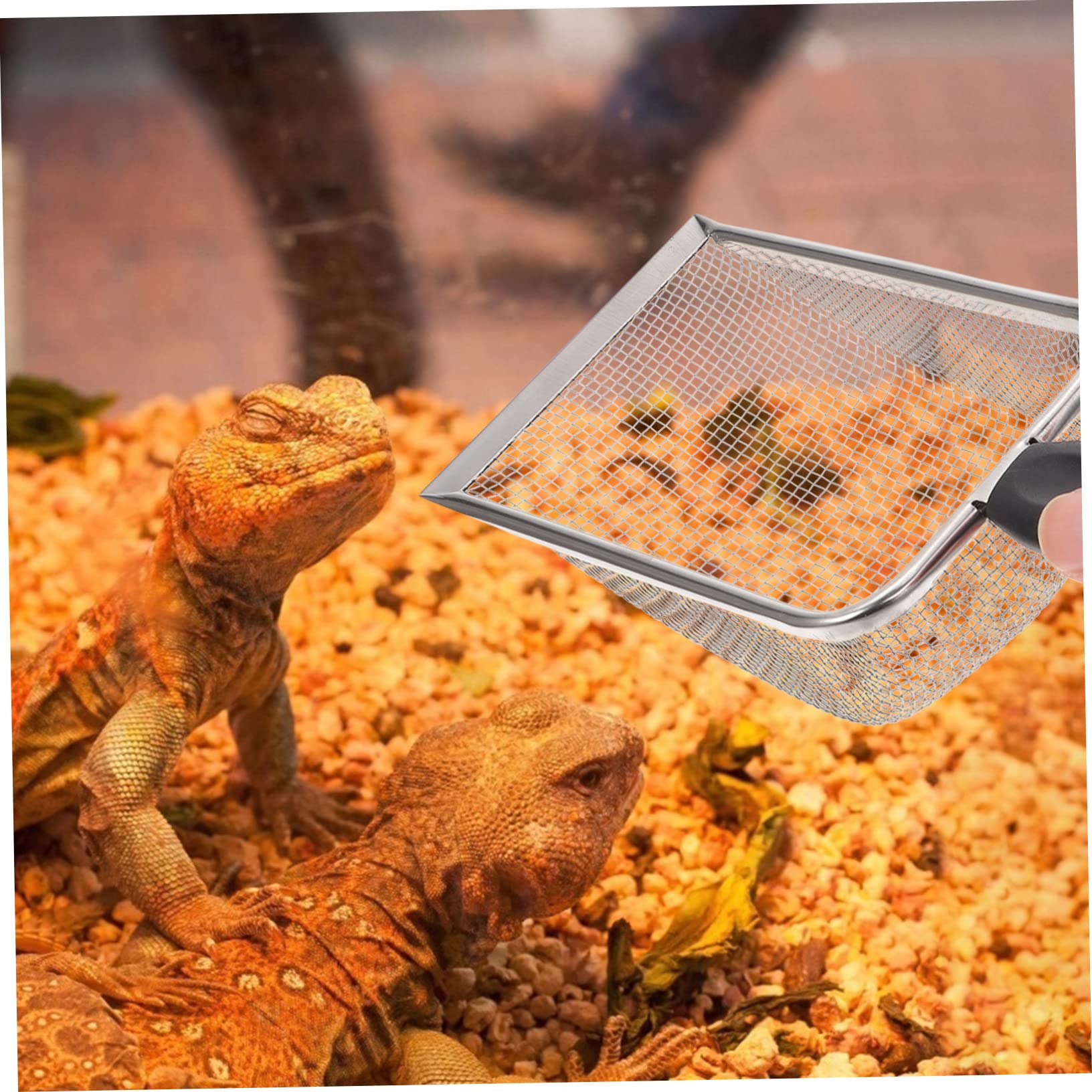 Greabuy Sable Pour Reptiles En Acier Inoxydable à Mailles