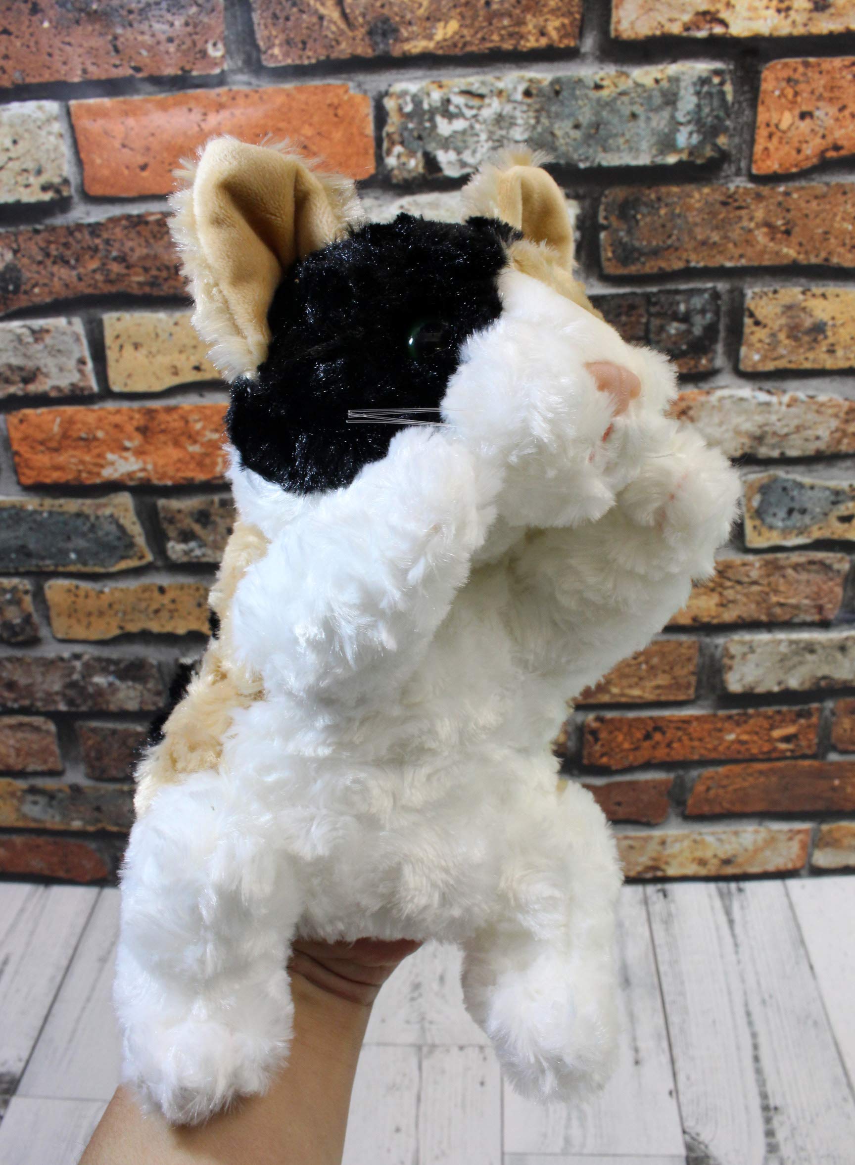 Amazon.co.jp: テイクオフ(Take-Off) ハンドパペット ネコ ミケ : おもちゃ