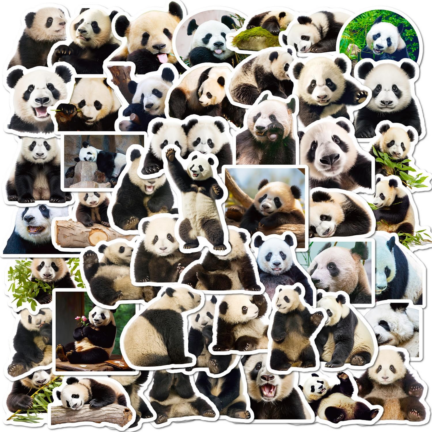 50 PCS Panda Stickers,Waterproof Cute Aesthetic Vinyl Stickers for Water Bottle, Laptop, Phone, Skateboard Stickers, Luggage, Teaching Rewards, Funny Holiday Party Favors for Kids Teens Aduts.