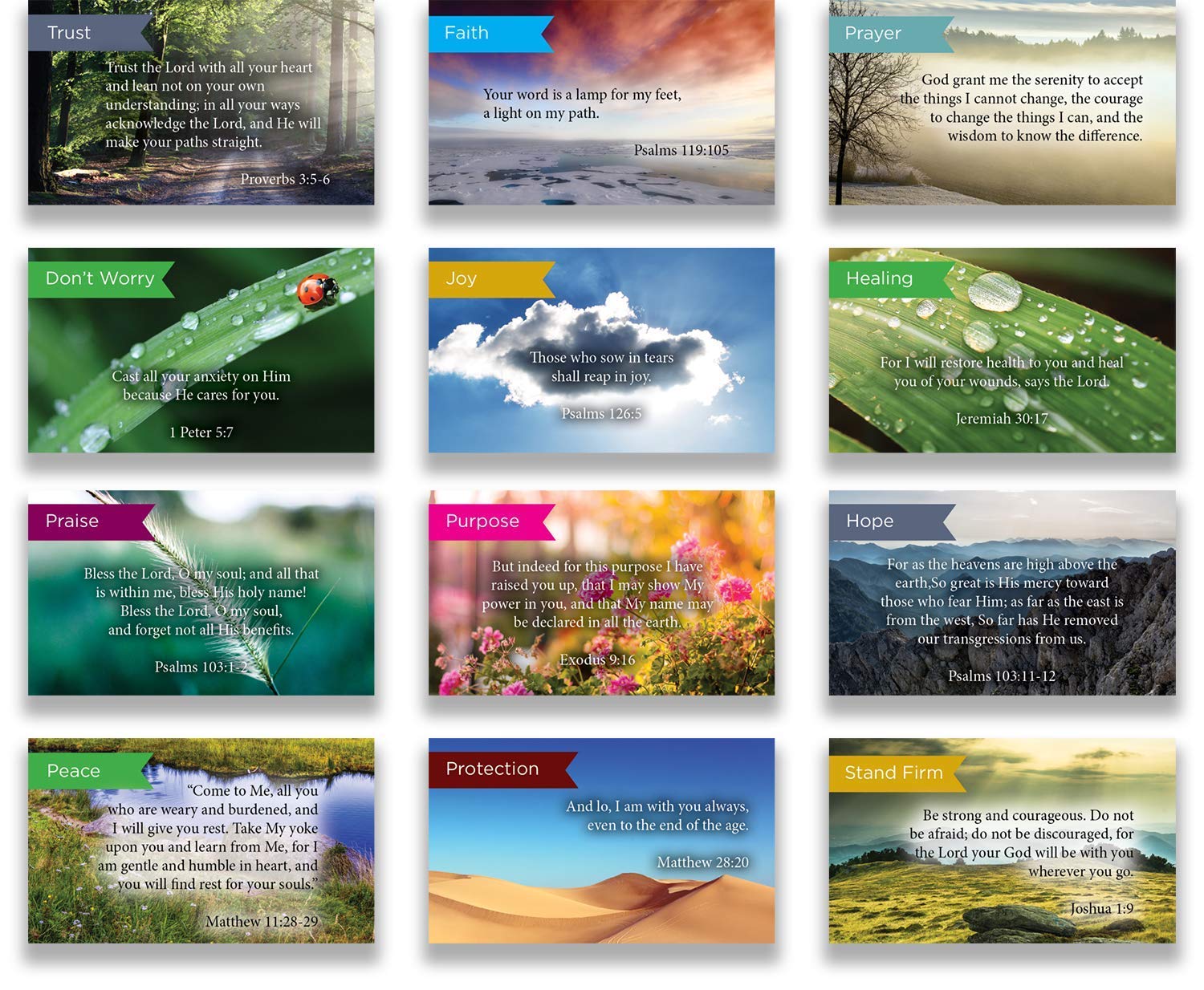 Logos Trading Post Pass Along Scripture Card Variety Pack | 12 Hand Picked Desings | 5 of Each Design | Pack of 60 - Assortment 6