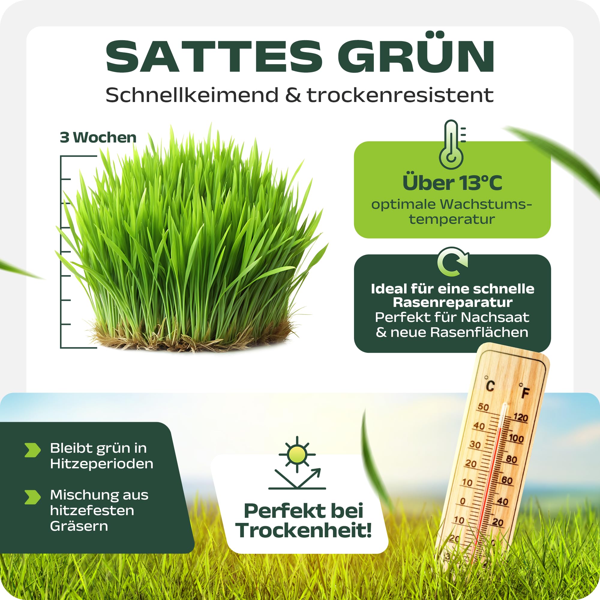 Schattenrasen Samen 2,5kg – für 100m² hochwertige Rasensamen & Grassamen schnellkeimend Sommer für Rasen Nachsaat & dichte Rasensaat | SEHR GUT getestet inkl. Anleitung