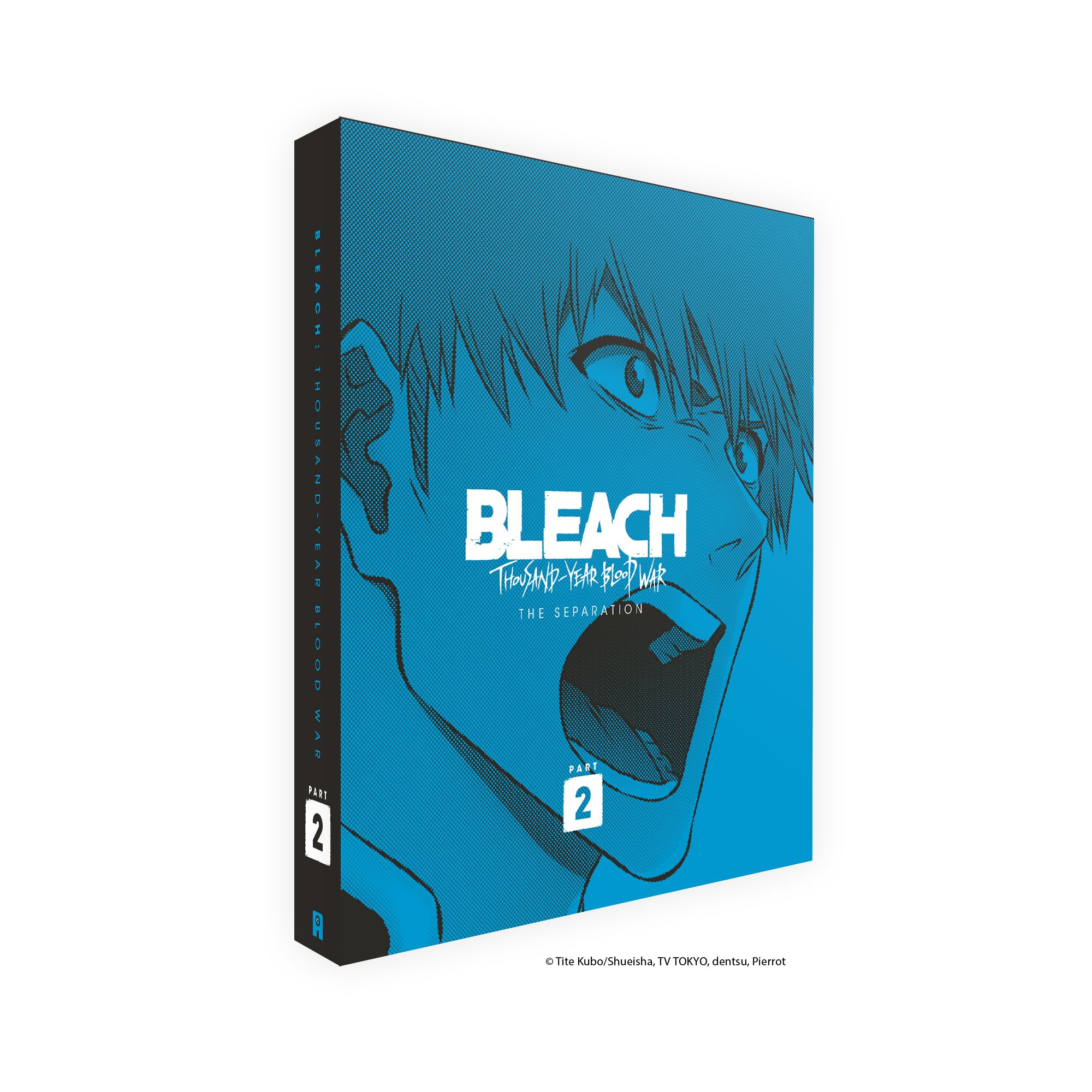 Bleach Thousand Year Blood War - Part 2 - Collector's BD