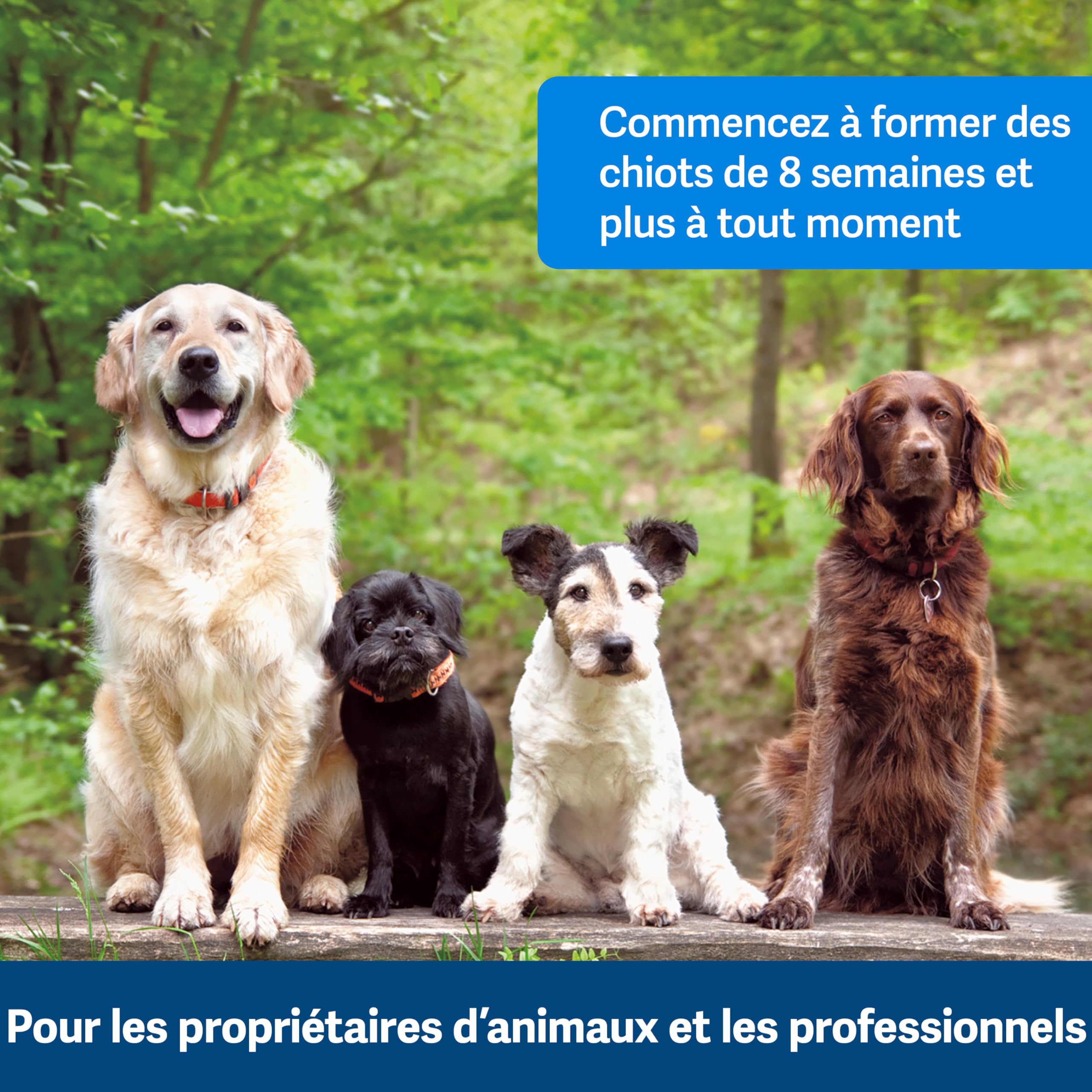 PetSafe Clik-R Clicker d'entraînement pour Chiens - Renforce Le comportement Positif - Utilisation pour récompenser et entraîner