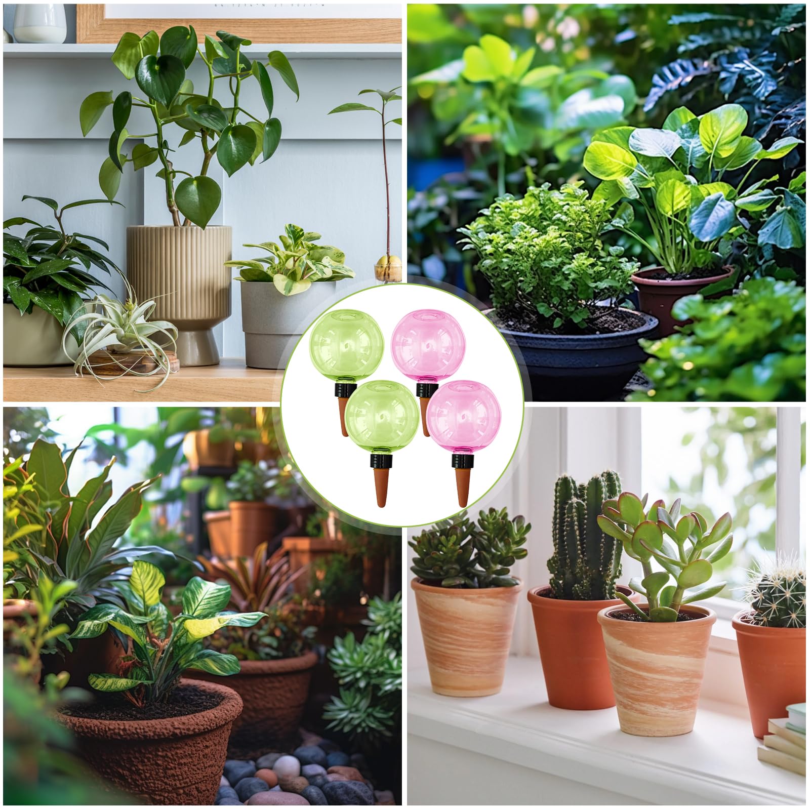 4 Stück Bewässerungskugeln für Pflanzen,Automatische Pflanzenbewässerung 500ml,sgeräte Bewässerungskugeln,Wasserspender Pflanze von Zimmer Balkon und Gartenpflanzen (Rosa, grün)