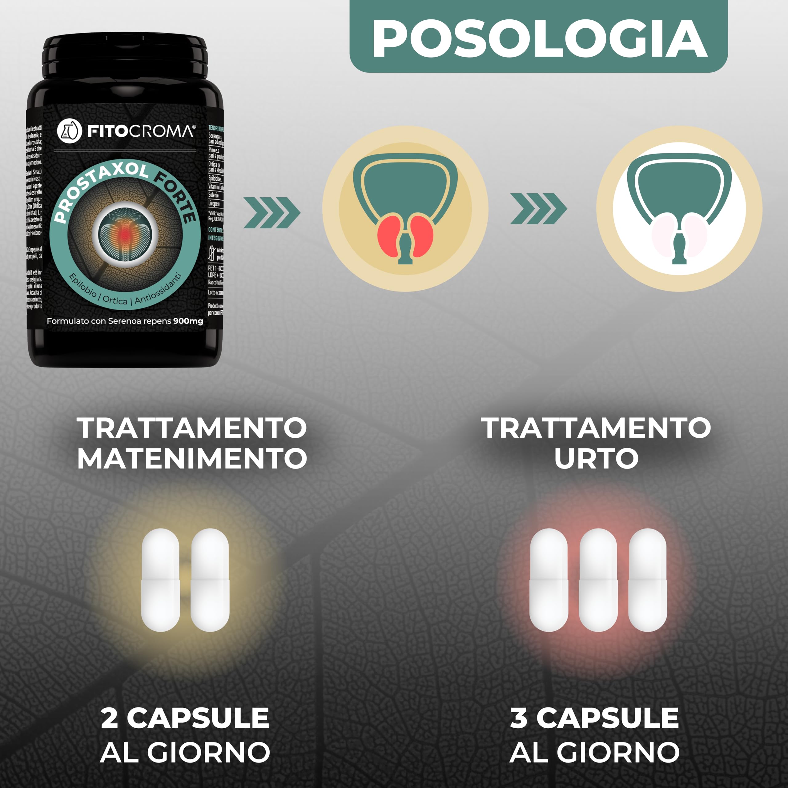 SERENOA REPENS FORTE 900MG - 180 capsule - Saw palmetto prostata, Integratore prostata, con Ortica, Epilobio, Licopene, Vit.E, Selenio e Proantocianidine, Formula Strong
