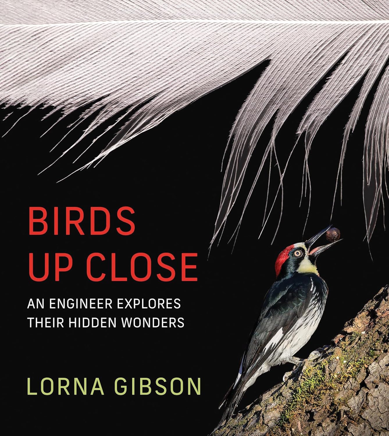 Birds Up Close: An Engineer Explores Their Hidden Wonders      Hardcover – May 5, 2026