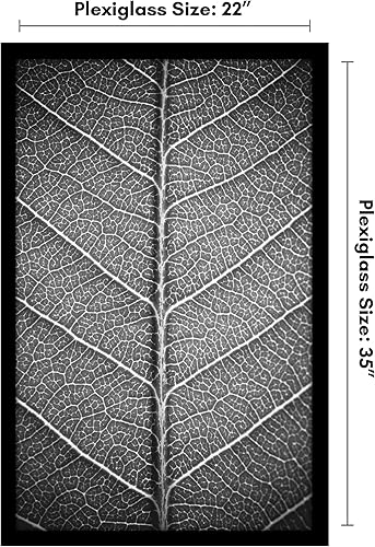 Miniatura 2 de Americanflat 22x35 Poster Frame in Black - Photo Frame with Engineered Wood Frame and Polished Plexiglass Cover - Horizontal and Vertical Formats