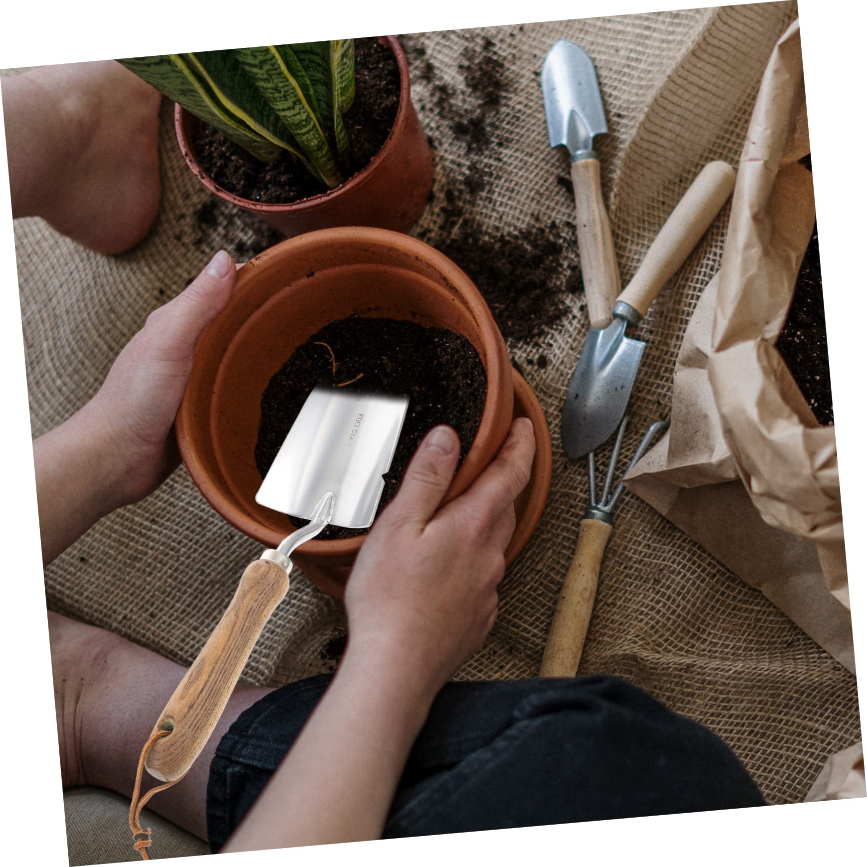 Toddmomy 2 Stück Gartenschaufel Gartengeräte Anlage Gartenwerkzeuge Gartenhandwerkzeuge Handwerkzeuge für Gartenarbeit Gartenkellen Hochleistungs-Gartenhandkelle Garten Kellen