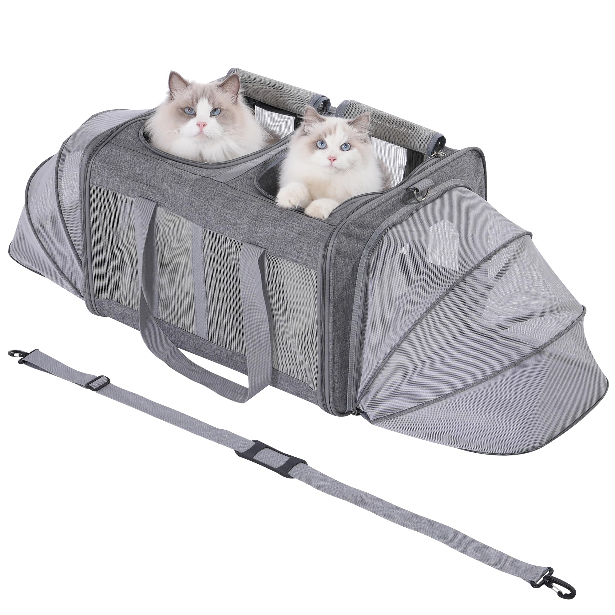 Caja de transporte para gatos para 2 gatos, plegable, color gris