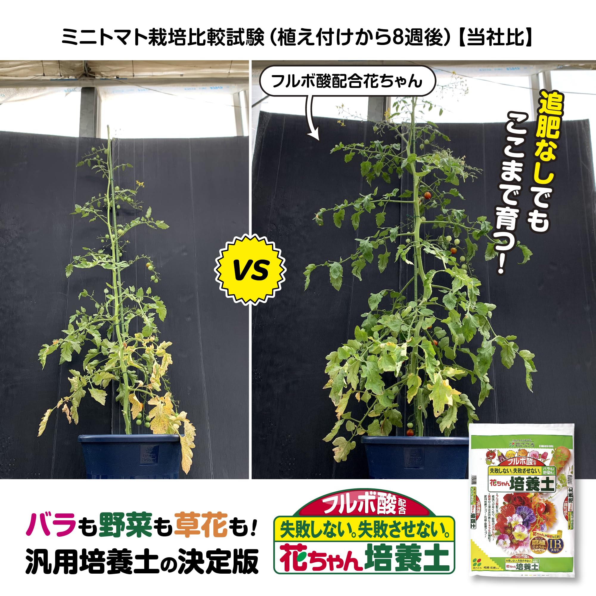 Amazon | 花ごころ フルボ酸配合 花ちゃん培養土 イキイキ育つ花と野菜