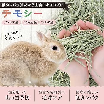 Amazon | もふぱふぇ 各50g チモシー アメリカ産 カナダ産