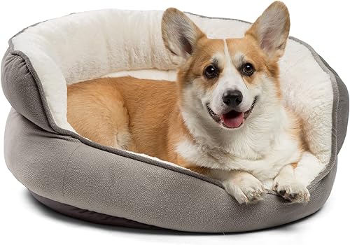 Best Friends by Sheri Throne - Cama ortopédica para gatos y perros con cojín alto, color gris jumbo