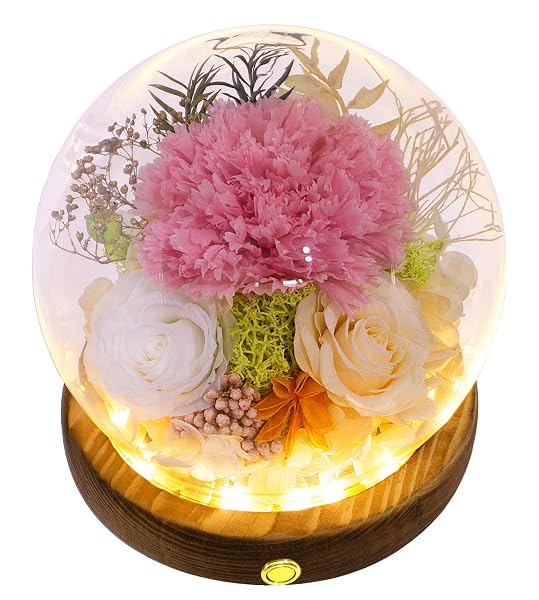 Preserved Long-Lasting Botanical Display