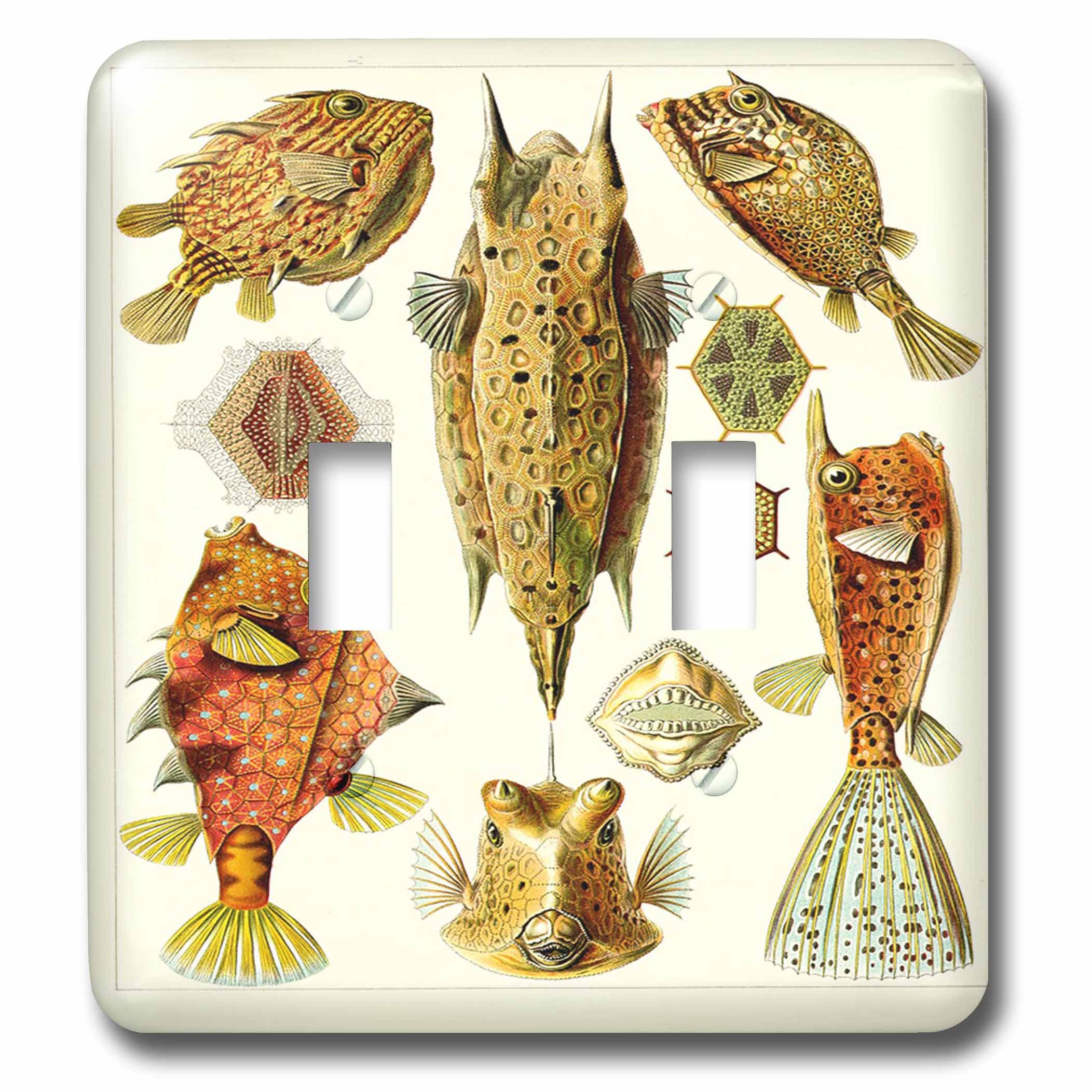 Croquis de l'anatomie d'un poisson double interrupteur pour remplacer plaque blanche