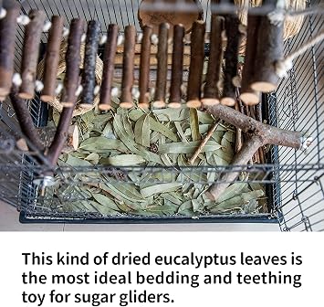 NEOUZA Sugar Glider Small Animal Bedding, Chew Treats, Molar Toys, 7oz/200g Natural Dried Eucalyptus Leaves and Twigs for Sugar Gliders, Aromatic & Decorative Use