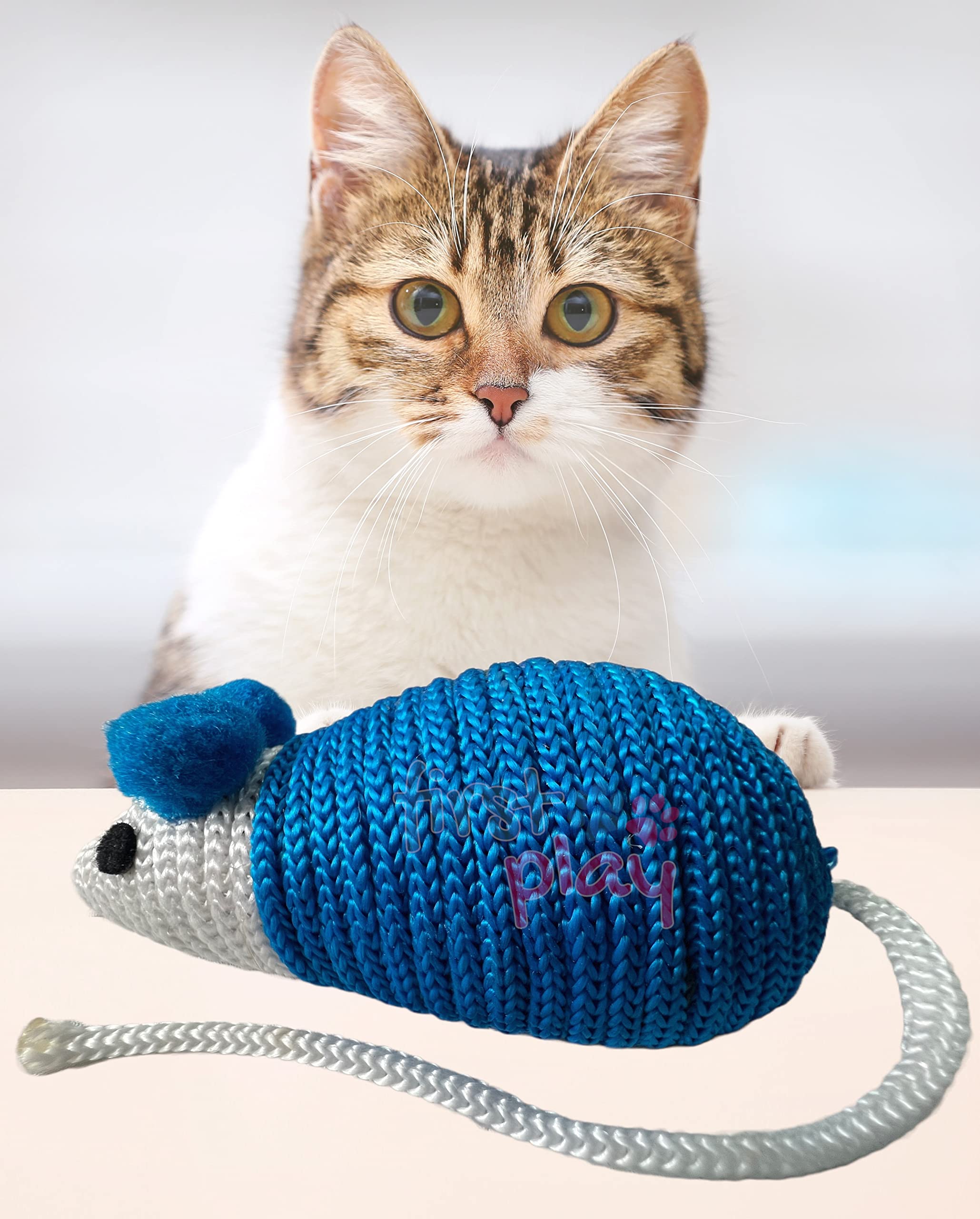 first play Mouse Shape Sisal Rope Toy for Cats/Kittens with Catnip Inside I Scratcher Molar Mice cat Toy I Interactive Cat Toy Cum Scratch Board