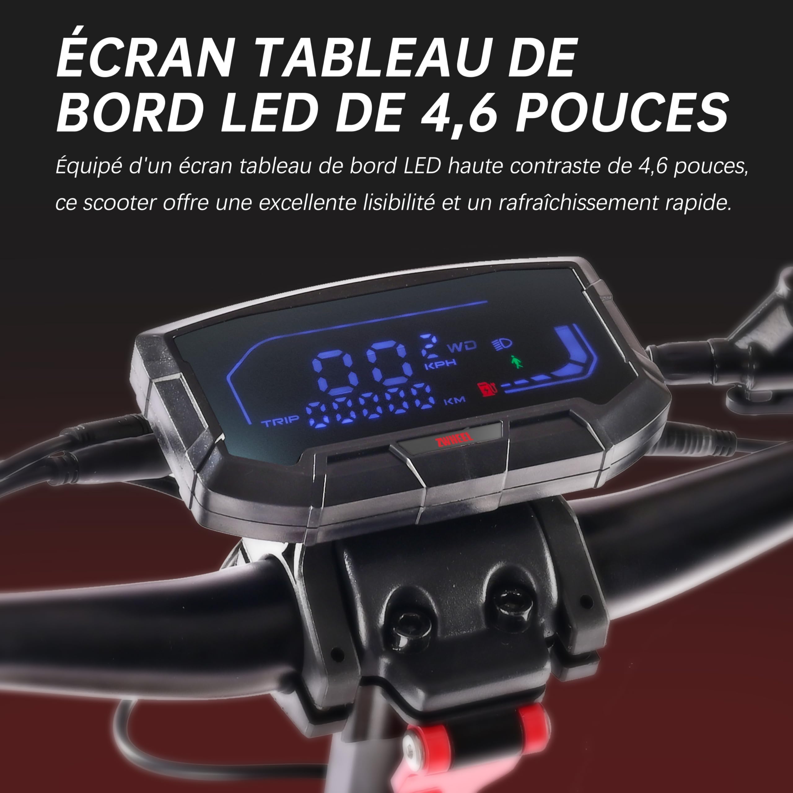 D3 Patinete Eléctrico Adulto Todo Terreno, Patinete con Batería 48V 15Ah de Gran Autonomía, Neumáticos de Vacío 10 Pulgadas, Doble Suspensión de Resorte & Frenos de Disco Fiable