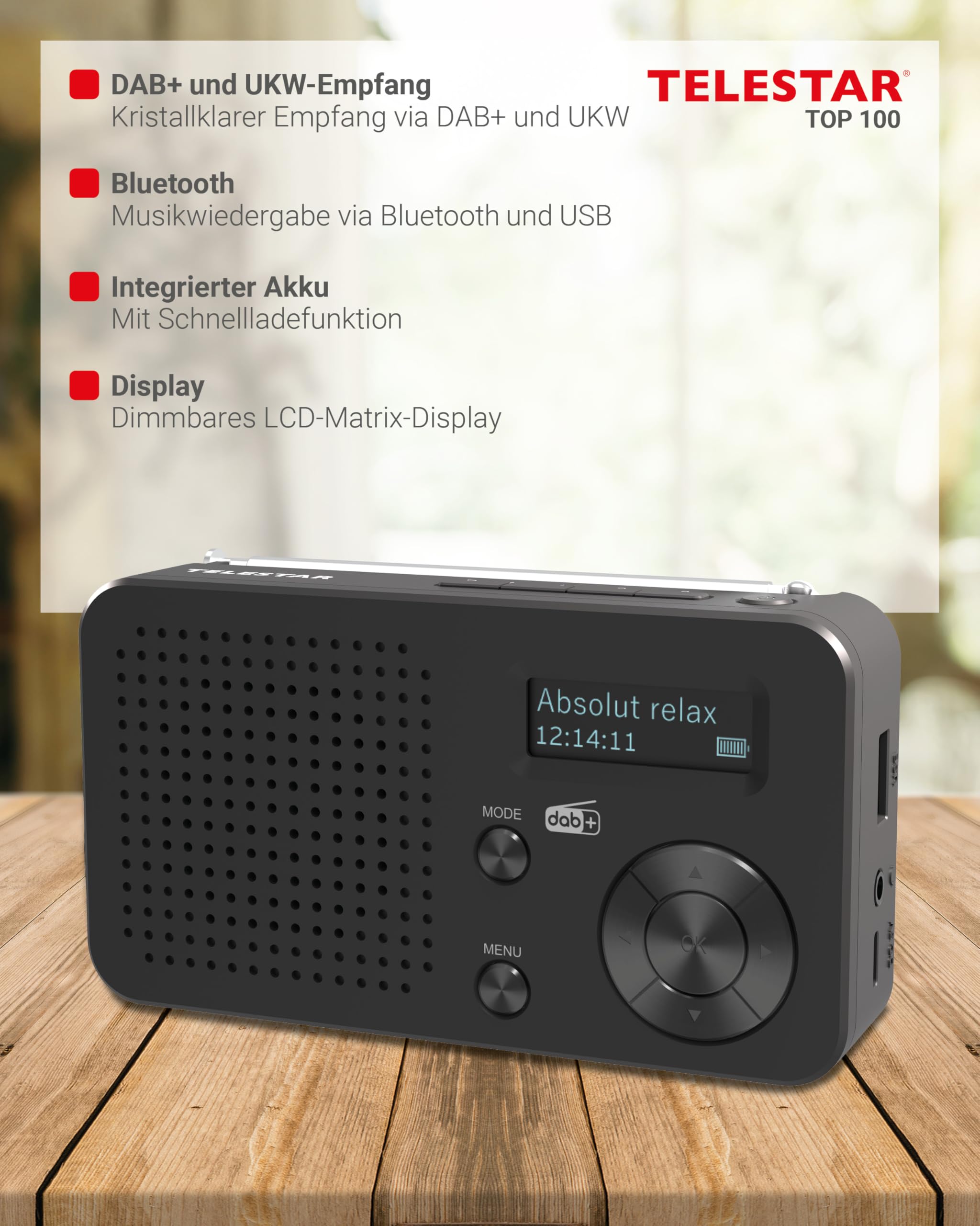 TELESTAR TOP 100 – Mobiles DAB+/UKW Radio mit Akku – Schwarz | Austauschbare Batterie, bis zu 15 Std. Spielzeit, kurze Ladezeit, Bluetooth Audio-Streaming, USB-Mediaplayer