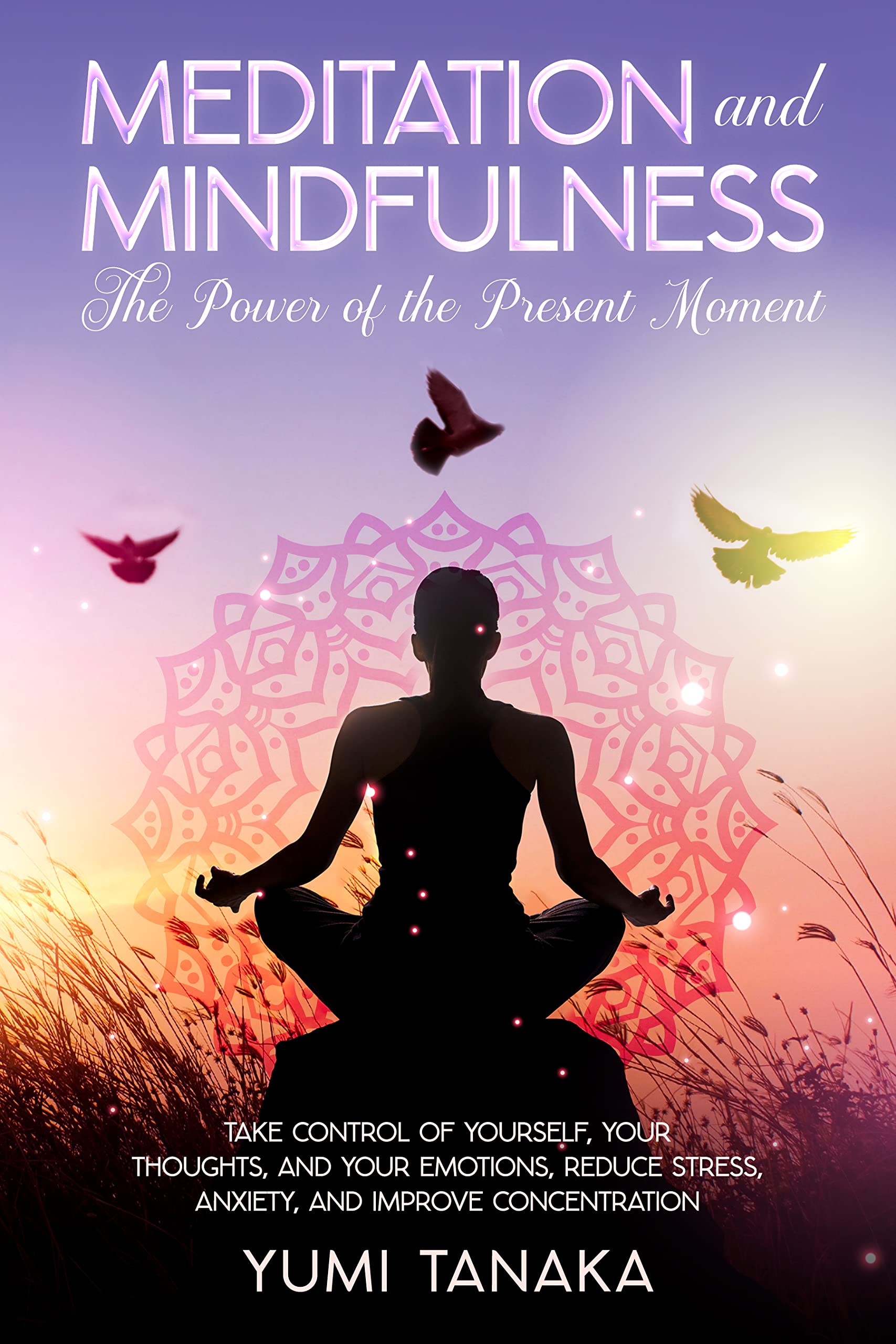 MEDITATION AND MINDFULNESS: The Power Of The Present Moment: Take Control of Yourself, Your Thoughts and Emotions, Reduce Stress, Anxiety and Improve Concentration