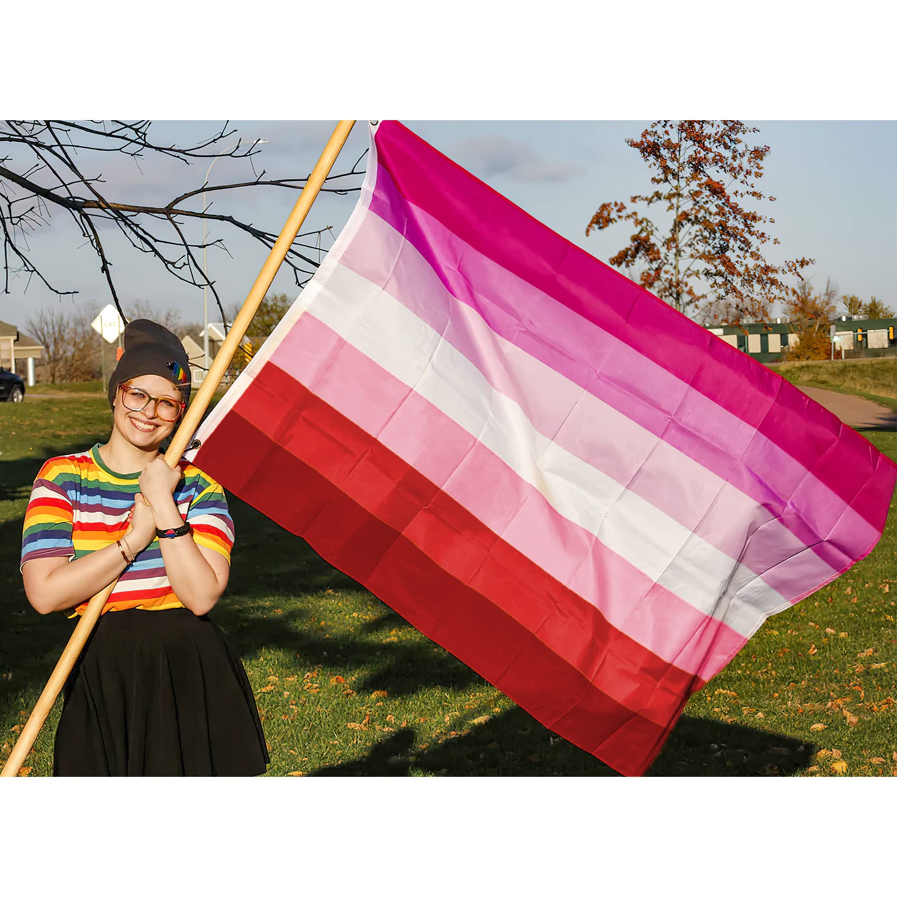 Bandiera Lesbica Lgbt - Immagini Vettoriali Stock E Altre Immagini Di - Foto 7