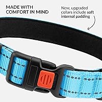 Vista 80 de CollarDirect Reflective Dog Collar for a Small, Medium, Large Dog or Puppy with a Quick Release Buckle - Boy and Girl - Nylon Suitable for Swimming