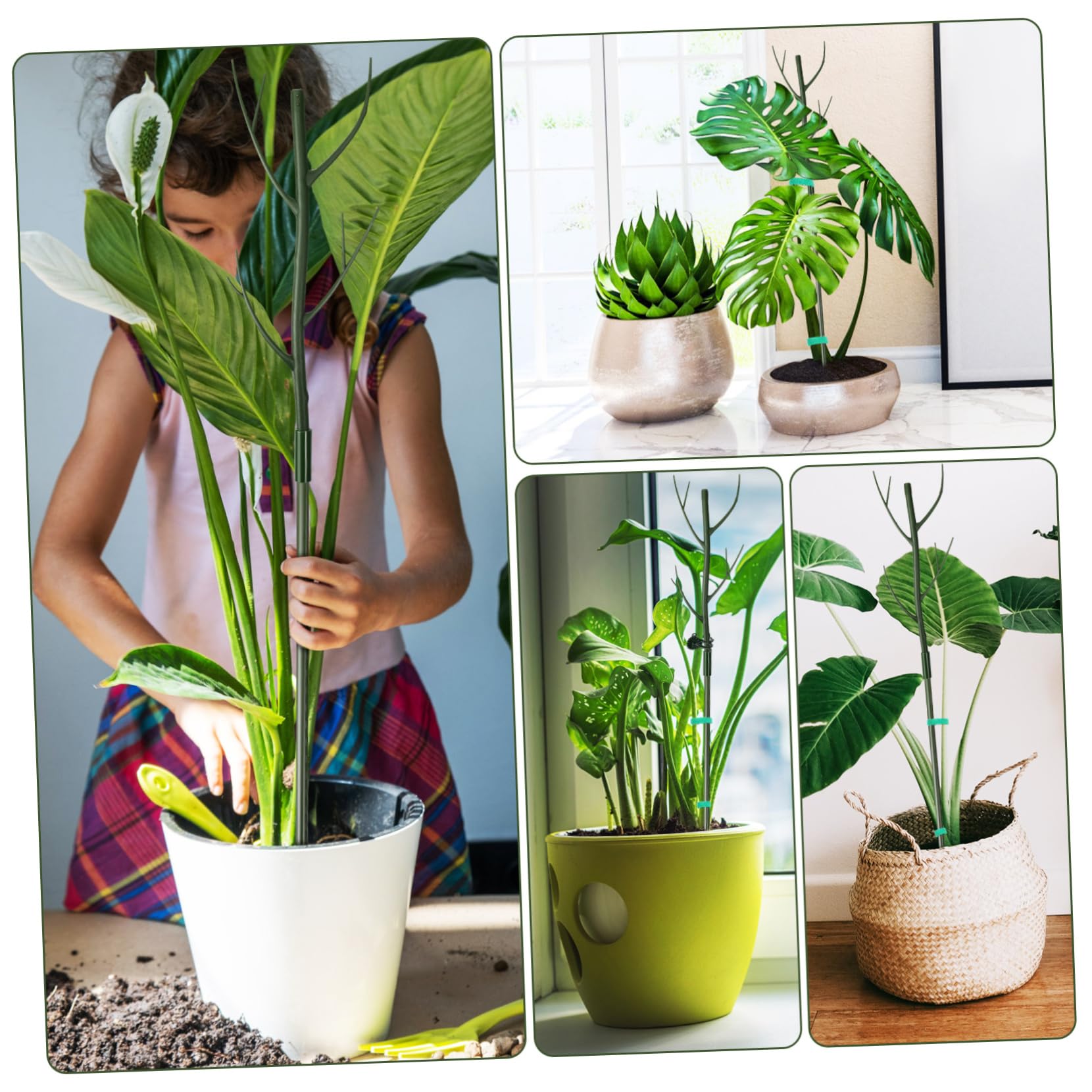 HANABASS Sostegno per Piante Monstera Tutori per Piante Bastoncini Supporto per da Clip per e Fascette Materiale Design Facile Installazione