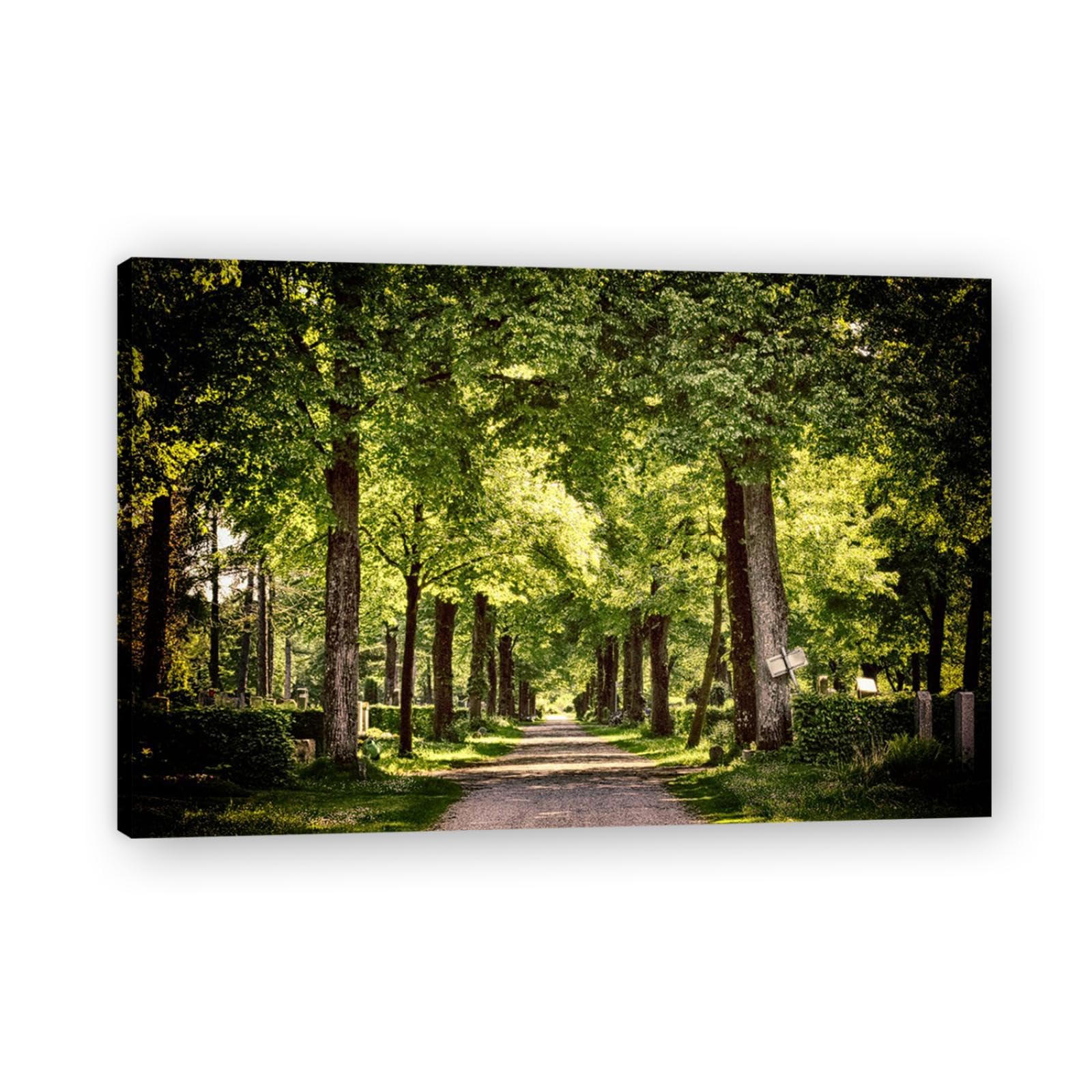 xukgmsg Forest Path Landscape Trees Forest Wall Art Decoration