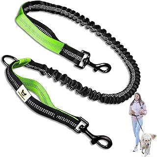 Hundefreund Bungeeteil für Joggingleine - 120 cm Ersatzleine mit elastischem Gummizug und 2 Schlaufen - Verlängerung für Hundeleine (Grün)