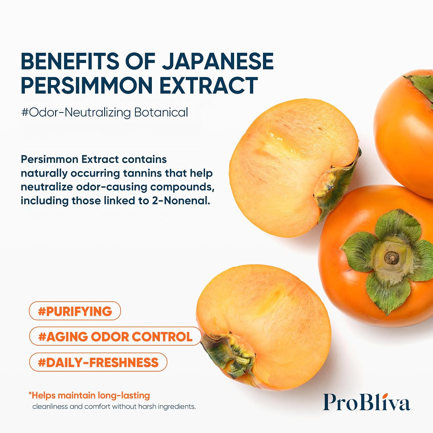 ProBliva Japanese Persimmon Body Wash for Body Odor: Purifying & Odor-Neutralizing (500mL) for Older People Smell with Tea Tree Oil & Green Tea - Deodorizing & Eliminator Aging Odor for Men & Women