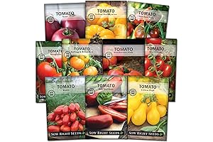 10 Enchanting Giant Crimson Tomato Seeds