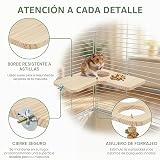 Ver la foto 4