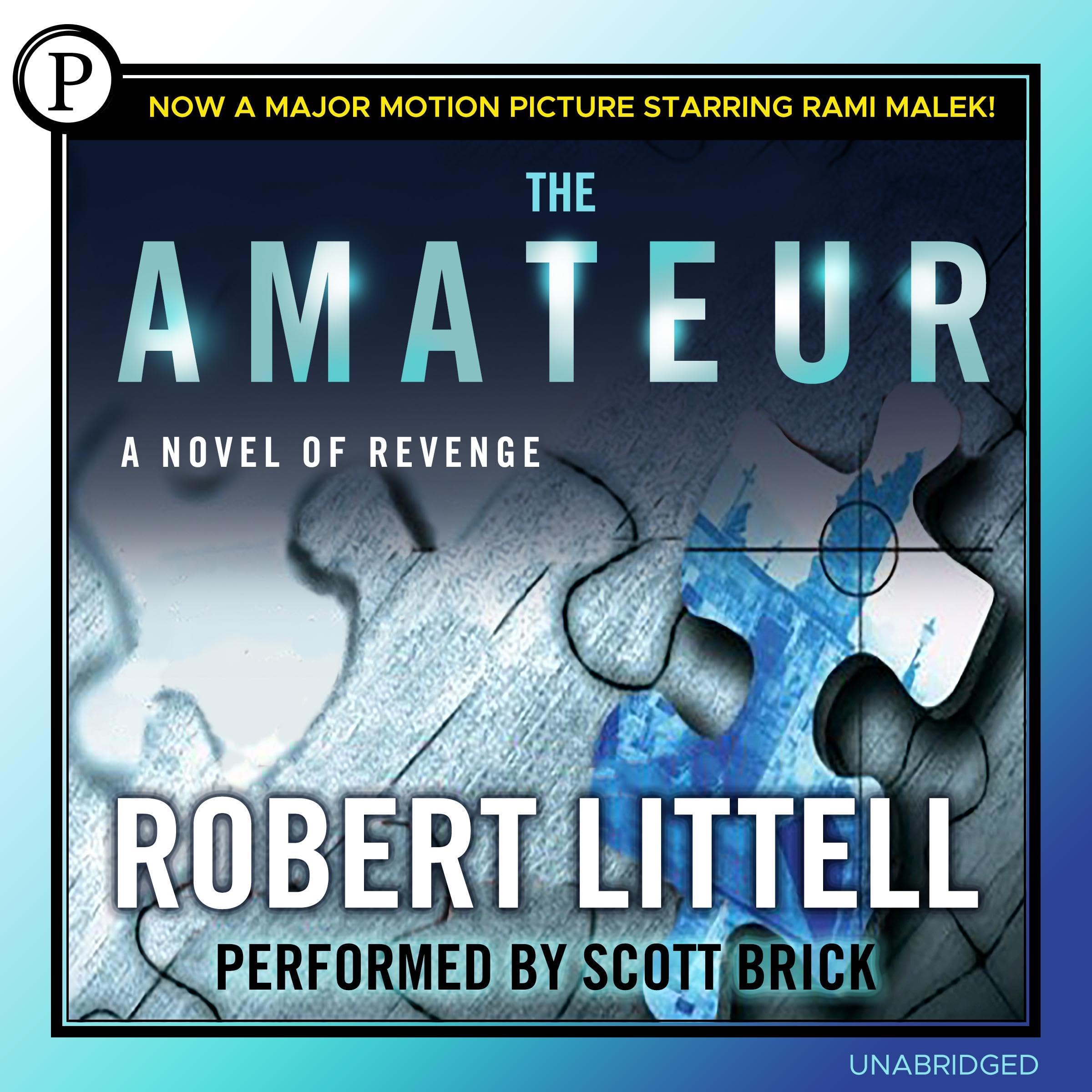 Cover art for The Amateur
