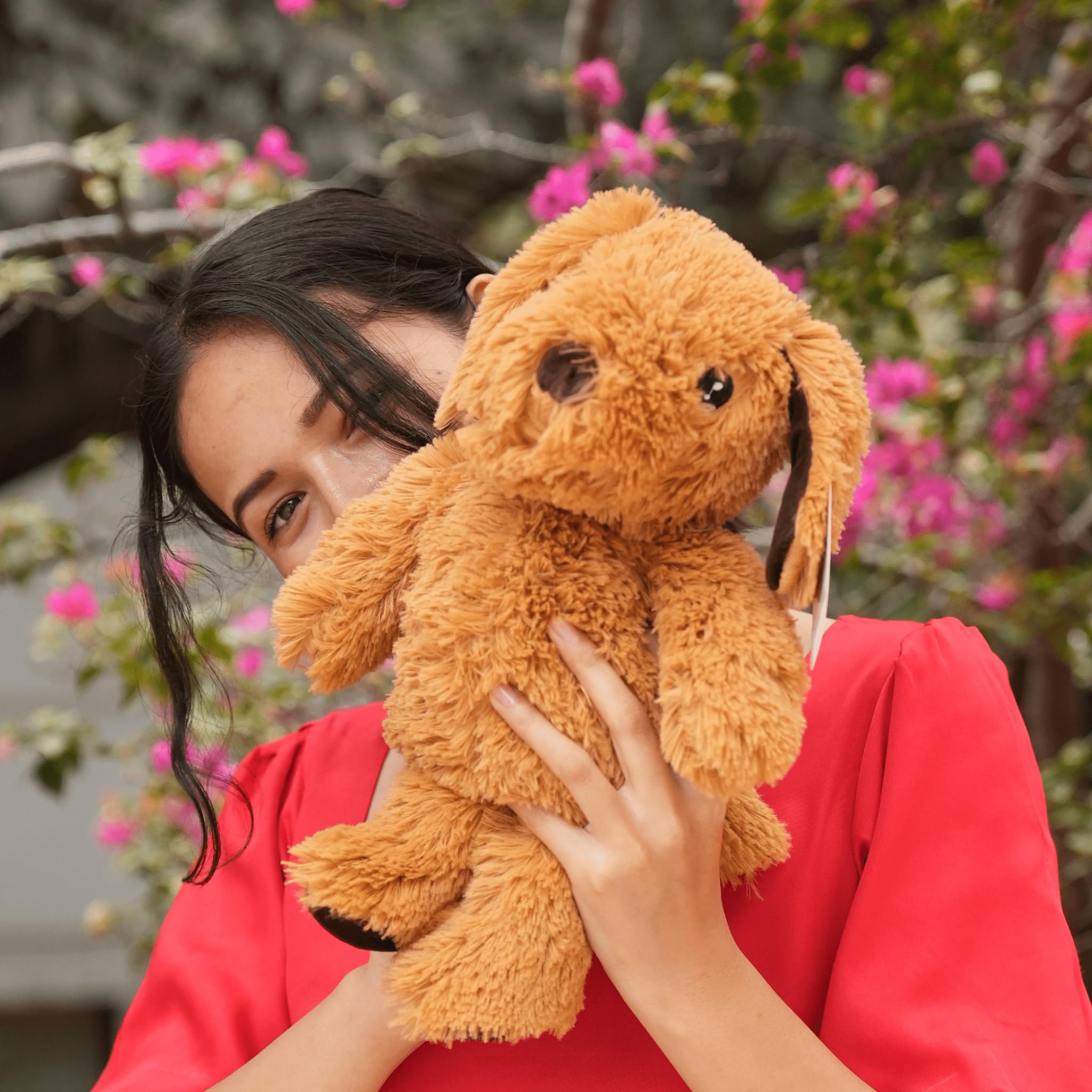 Cuddles™ with Olly Sr. | Indias First Microwavable Therapeutic Wellness Soft Toy | Soothing Relief from Period Cramps, Reduces Anxiety, Improves Sleep, Eases Muscle Pain, Elevates Relaxation 🐾 (B0CVN5QLBK) Amazon Price History, Amazon Price Tracker