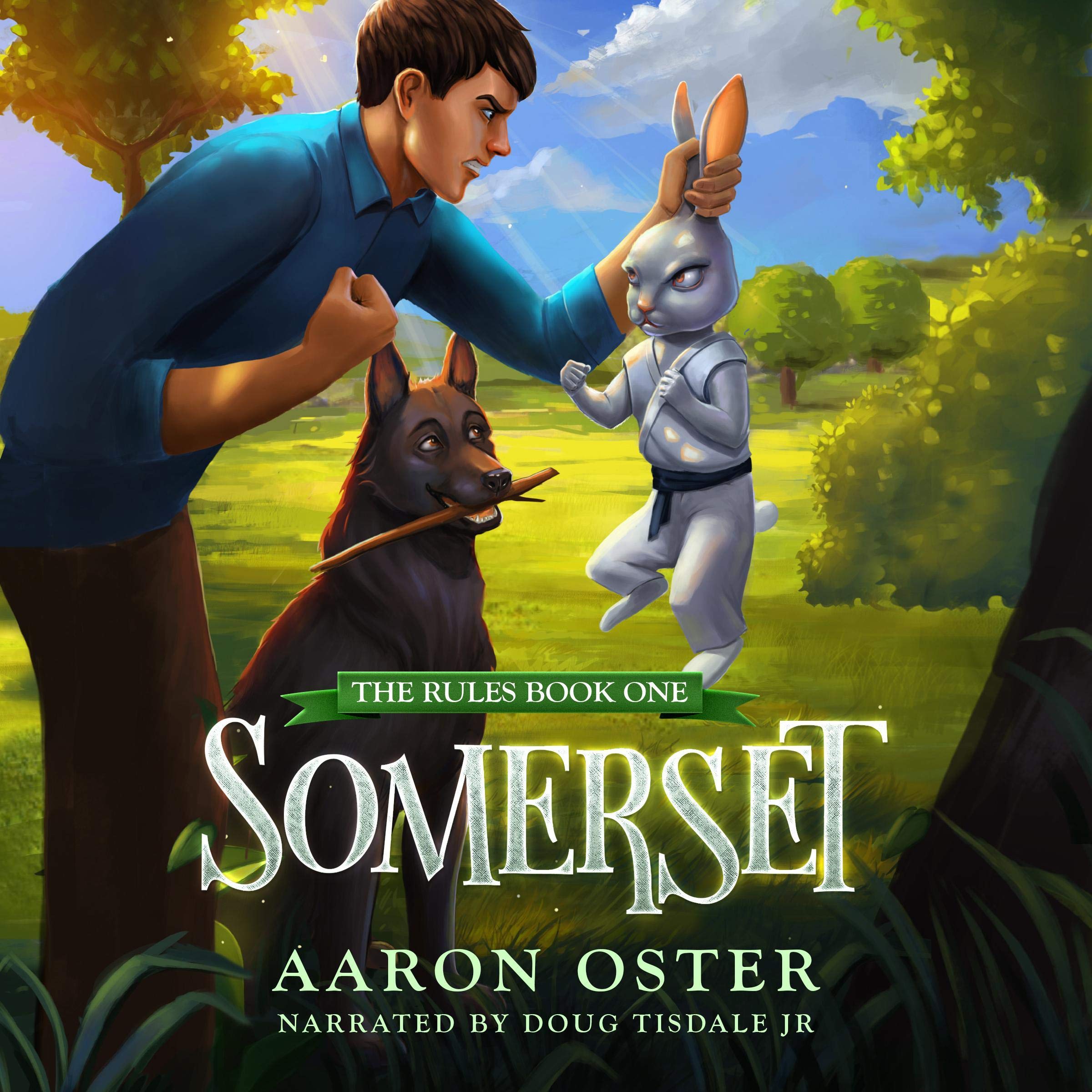 Cover art for Somerset