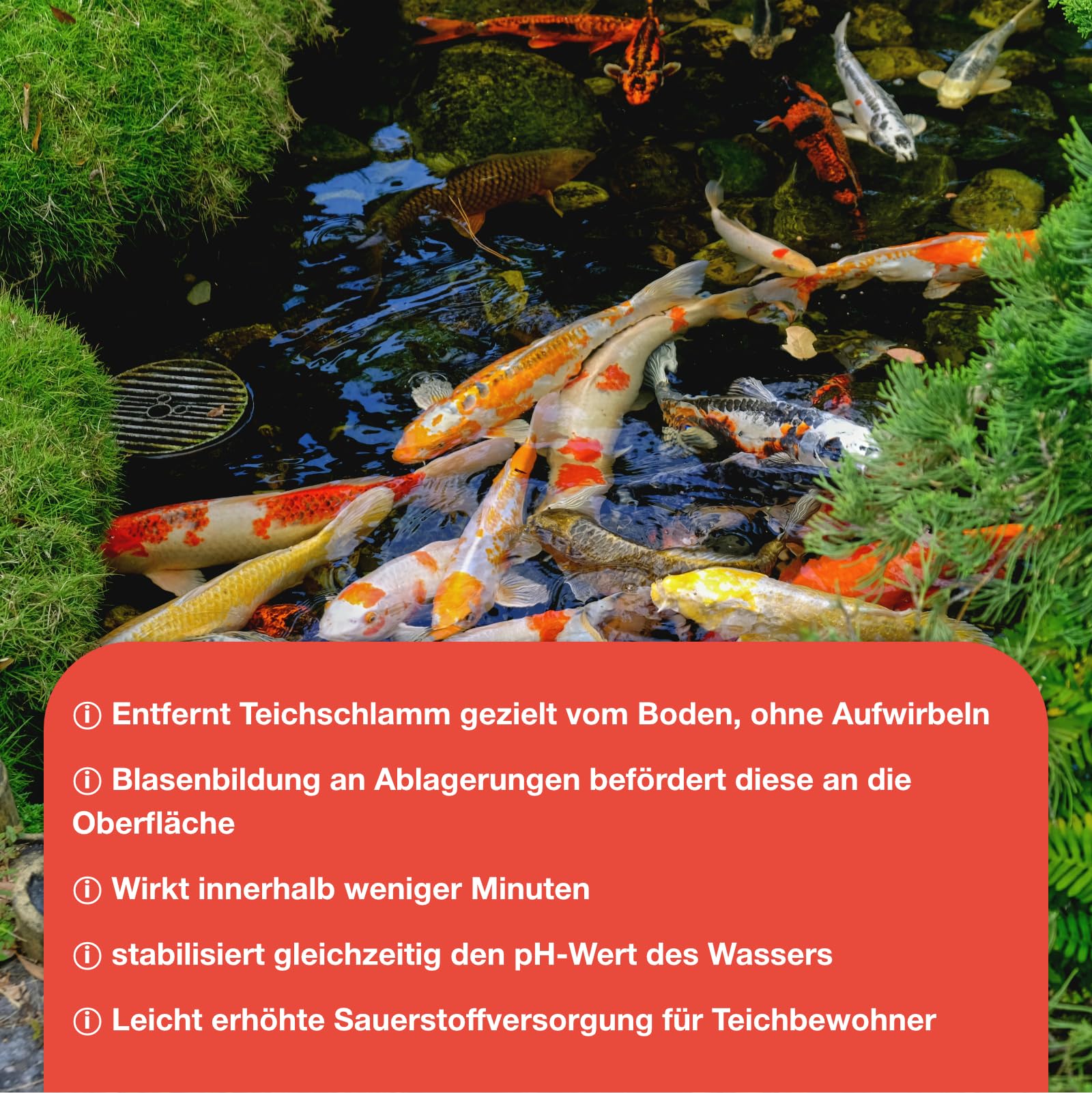 Teichpoint Oxy-Stopp Schlammentferner 1kg | Aktivsauerstoff gegen Teichschlamm, Laub und Ablagerungen | Für Koi- und Gartenteiche | Reichweite bis 30.000 Liter - 5