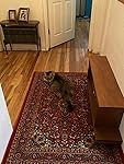 Review Image by Amazon Customer